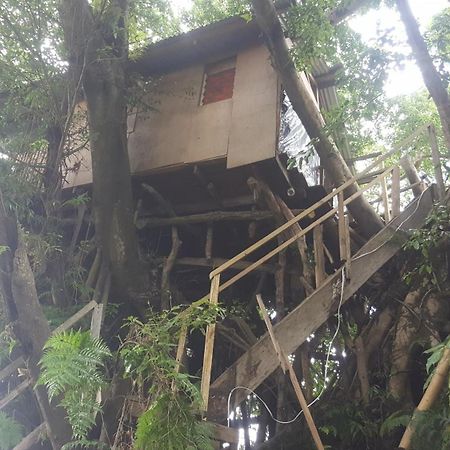 Castle Tree House And Bungalow White Sands Kamer foto