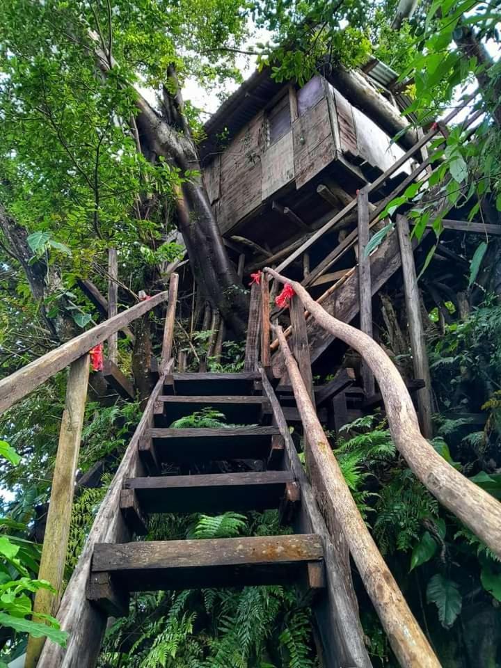 Castle Tree House And Bungalow White Sands Buitenkant foto