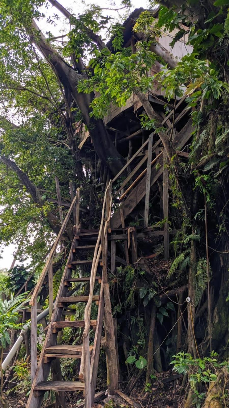Castle Tree House And Bungalow White Sands Buitenkant foto