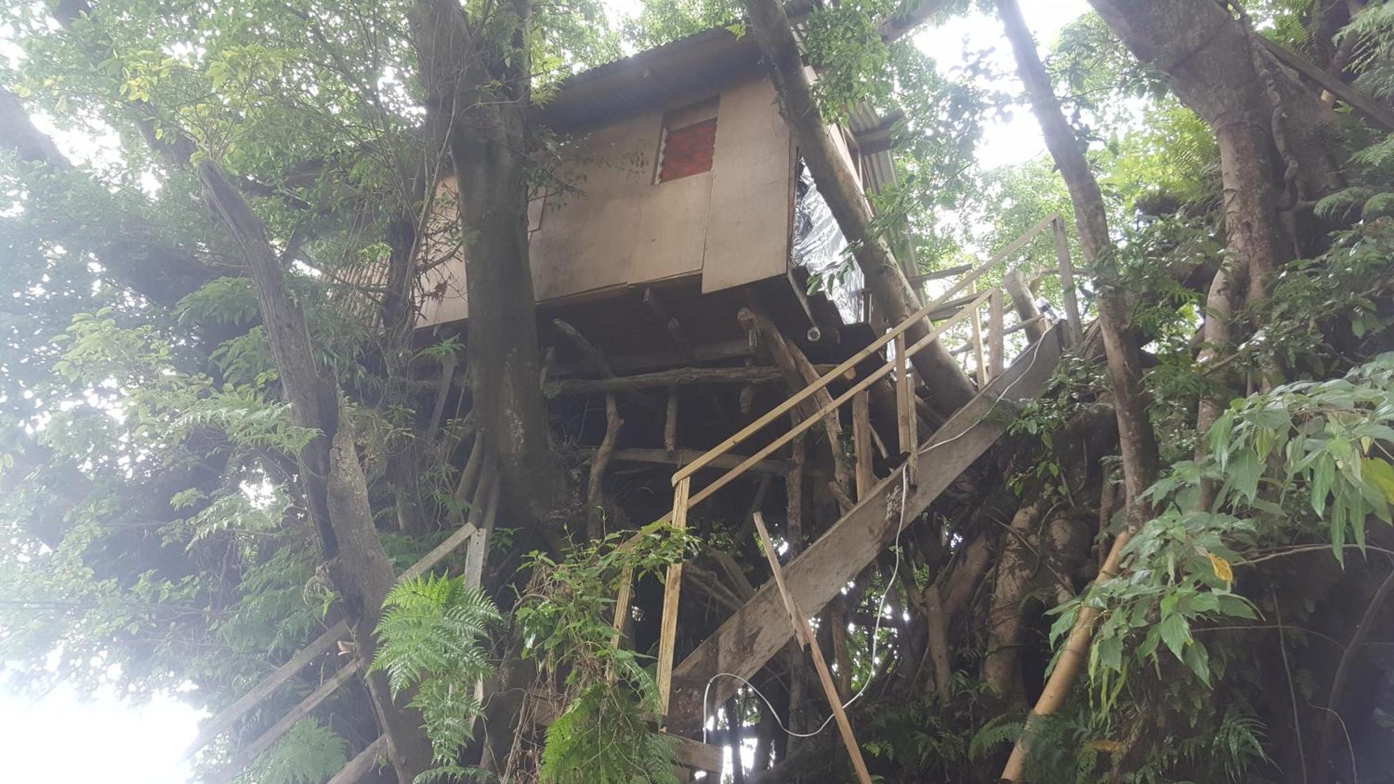 Castle Tree House And Bungalow White Sands Kamer foto