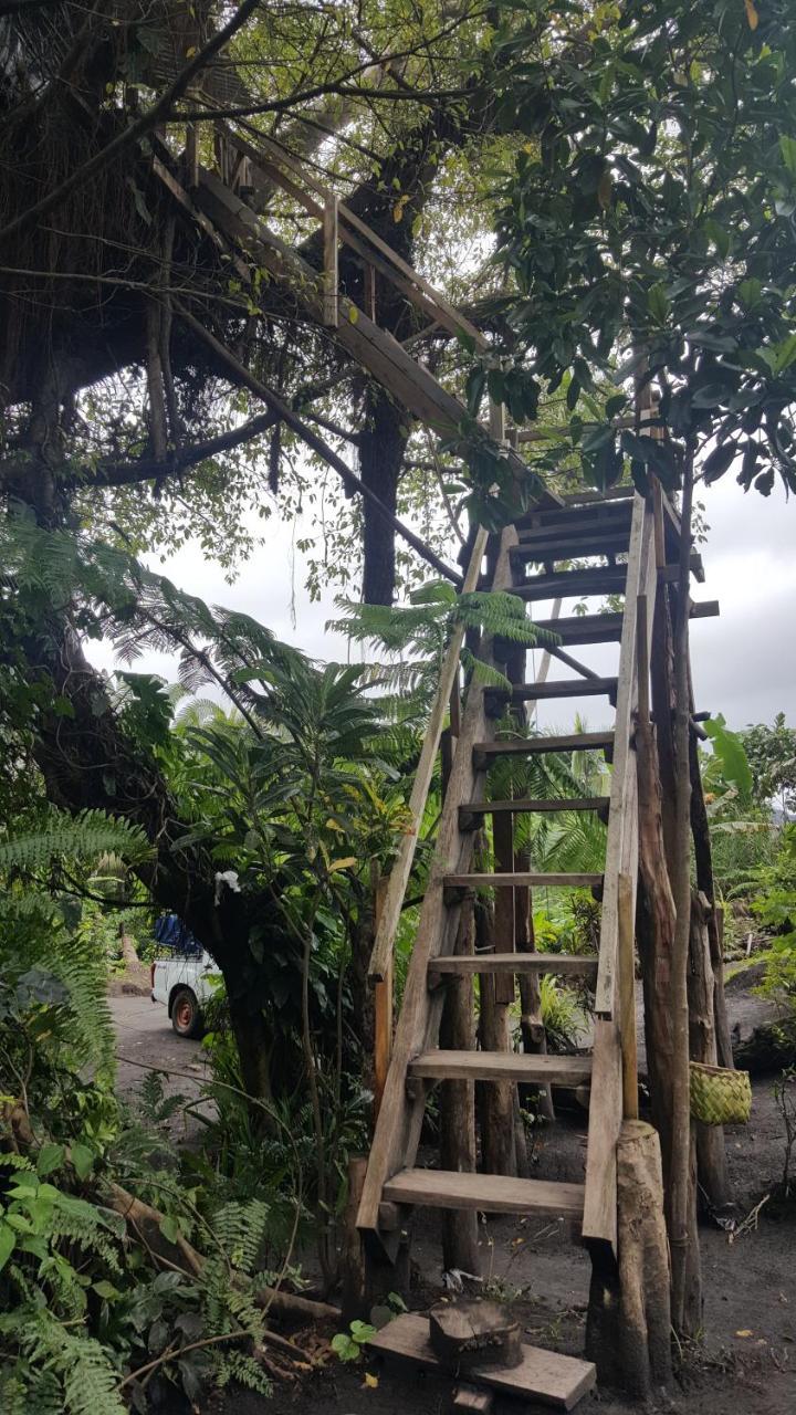 Castle Tree House And Bungalow White Sands Buitenkant foto