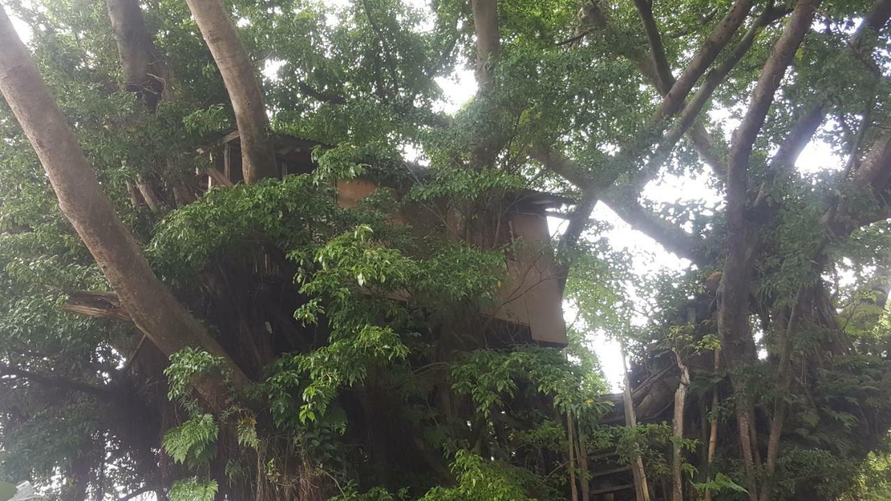 Castle Tree House And Bungalow White Sands Buitenkant foto